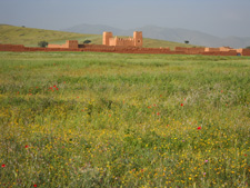 Morocco-Morocco-Sable d'Or - Southern Morocco